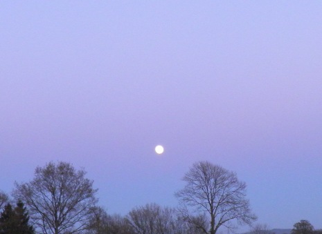 Full Moon, 14.4.14