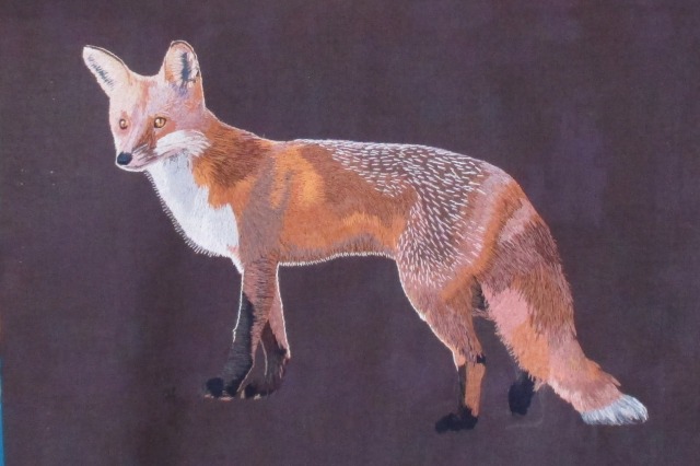 Jock's foxy