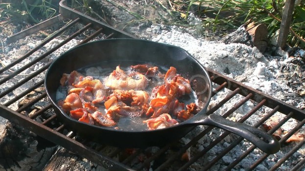 bacon cooking on a campfire